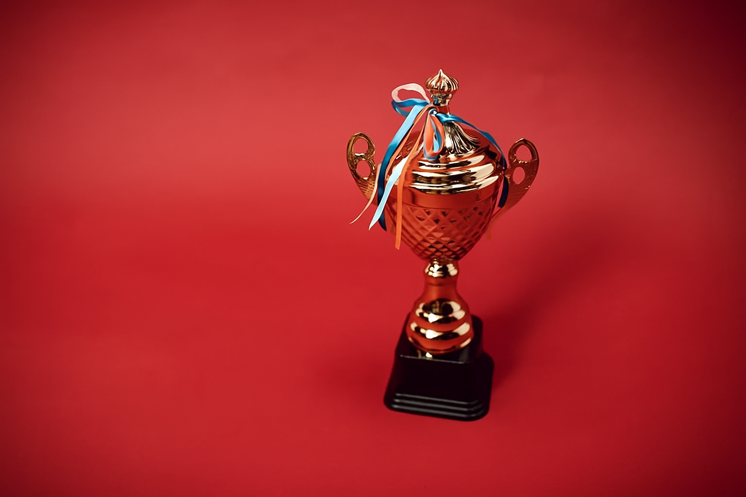 Web development illustration